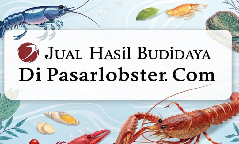 Jual Hasil Budidaya Lobster Air Tawar Di Pasarlobster.com 1 Jual Hasil Budidaya Lobster Air Tawar Di Pasarlobster.com Jual Hasil Budidaya Di Pasarlobster Com