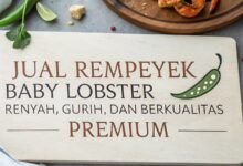 Rempeyek Baby Lobster Renyah, Gurih, Dan Berkualitas Premium