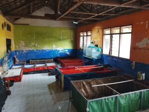 Galeri Lobstergo Lobster Air Tawar 20250420 103006Lobstergo