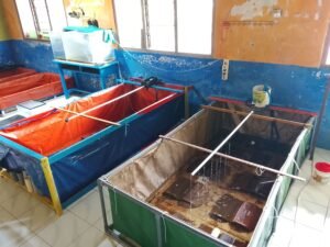 Galeri Lobstergo Lobster Air Tawar 20250420 103020Lobstergo