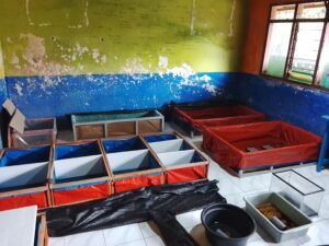 Galeri Lobstergo Lobster Air Tawar 20250420 103041Lobstergo