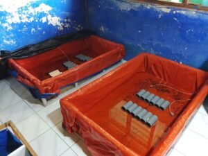 Galeri Lobstergo Lobster Air Tawar 20250420 103052Lobstergo