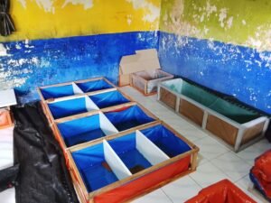 Galeri Lobstergo Lobster Air Tawar 20250420 103113Lobstergo