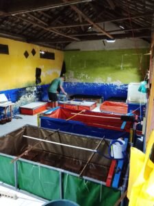 Galeri Lobstergo Lobster Air Tawar 20250420 121513Lobstergo