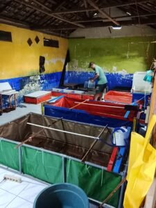 Galeri Lobstergo Lobster Air Tawar 20250420 121527Lobstergo