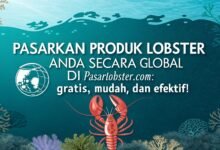 Pasarkan Produk Lobster