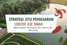 Pemasaran Lobster Air Tawar