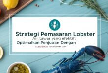 Pemasaran Lobster Air Tawar, Lobster Air Tawar Kediri, Lobster Kediri, Jual Lobster Kediri, Lobstergo, Pasarlobster.com, Marketplace Lobster Indonesia, Cara Menjual Lobster Air Tawar, Budidaya Lobster Kediri, Jual Indukan Lobster Online, Strategi Penjualan Lobster, Lobster Air Tawar Online, Lobster Indonesia, Pengusaha Lobster Sukses, Platform Jual Lobster, Lobster Konsumsi, Benih Lobster Air Tawar, Jual Lobster Murah, Lobster Ekspor Indonesia, Lobstergo.com