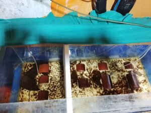 Galeri Whatsapp Image 2025 04 20 At 10.35.22 2