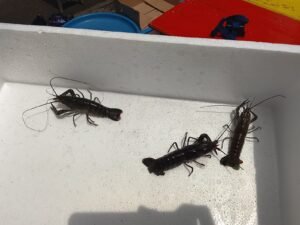 Galeri Whatsapp Image 2025 04 21 At 11.15.04 1