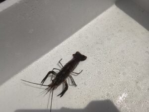 Galeri Whatsapp Image 2025 04 21 At 11.15.04 2