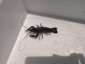 Galeri Whatsapp Image 2025 04 21 At 11.15.04