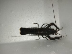 Galeri Whatsapp Image 2025 04 21 At 11.15.05 1