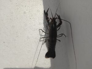 Galeri Whatsapp Image 2025 04 21 At 11.15.05