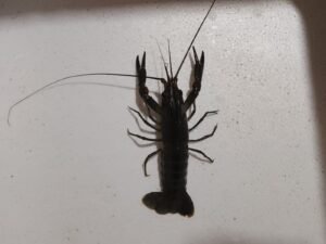 Galeri Whatsapp Image 2025 04 21 At 11.15.06