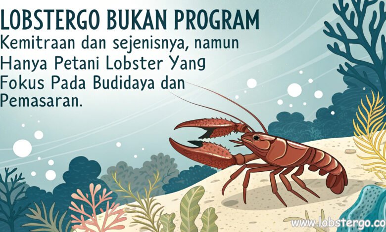 Lobstergo Bukan Program Kemitraan, Hanya Petani Lobster Air Tawar Yang Fokus Budidaya Dan Pemasaran 1 Lobstergo Bukan Program Kemitraan, Hanya Petani Lobster Air Tawar Yang Fokus Budidaya Dan Pemasaran Buwwwatkan Tulisan Yang Jelas Dan Tema Lobster Air Ta