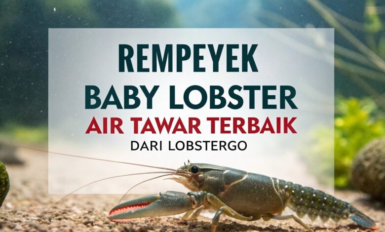 Rempeyek Baby Lobster