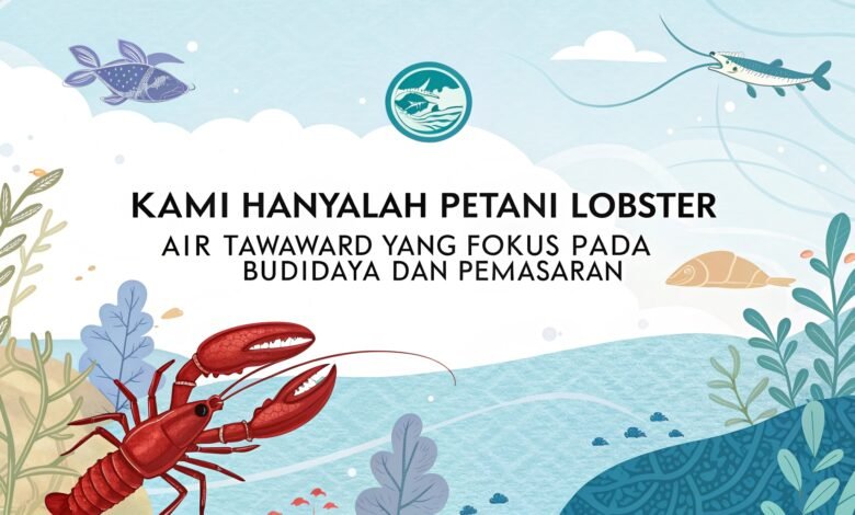 Kami Hanyalah Petani Lobster Air Tawar Yang Fokus Pada Budidaya Dan Pemasaran 1 Kami Hanyalah Petani Lobster Air Tawar Yang Fokus Pada Budidaya Dan Pemasaran