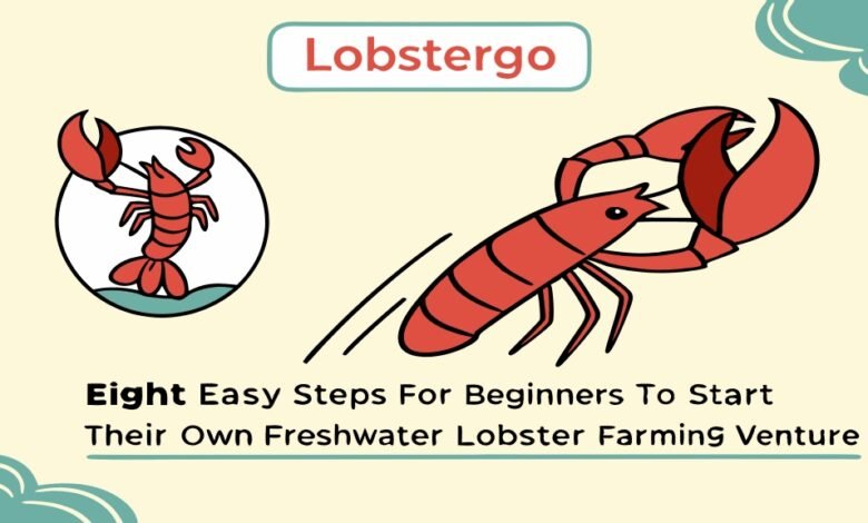 Budidaya Lobster Air Tawar: Peluang Bisnis Menjanjikan Dan 8 Cara Mudah Untuk Pemula 1 Budidaya Lobster Air Tawar: Peluang Bisnis Menjanjikan Dan 8 Cara Mudah Untuk Pemula Lobstergo Budidaya Lobster Air Tawar Peluang Bi