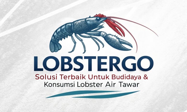 Lobstergo: Solusi Terbaik Untuk Budidaya &Amp; Konsumsi Lobster Air Tawar Lobstergo