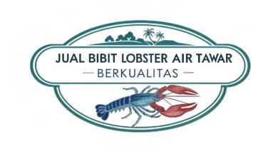 Jual Bibit Lobster Air Tawar Berkualitas – Tips Memilih Bibit Unggul Lobstergo Com Jual Bibit Lobster Air Tawar Berku