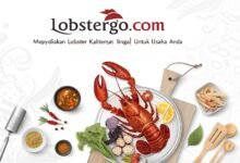 Lobstergo: Penyedia Lobster Berkualitas Tinggi Untuk Usaha Kuliner Anda Lobstergo Com Menyediakan Lobster Berkualitas T