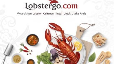 Lobstergo: Penyedia Lobster Berkualitas Tinggi Untuk Usaha Kuliner Anda Lobstergo Com Menyediakan Lobster Berkualitas T