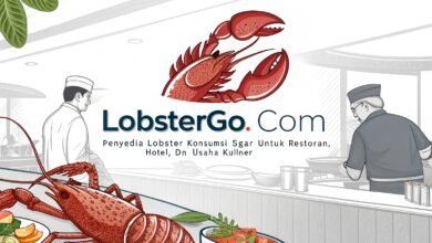 Lobstergo: Penyedia Lobster Konsumsi Segar Untuk Restoran, Hotel, Dan Usaha Kuliner Lobstergo Com Penyedia Lobster Konsumsi Segar Un